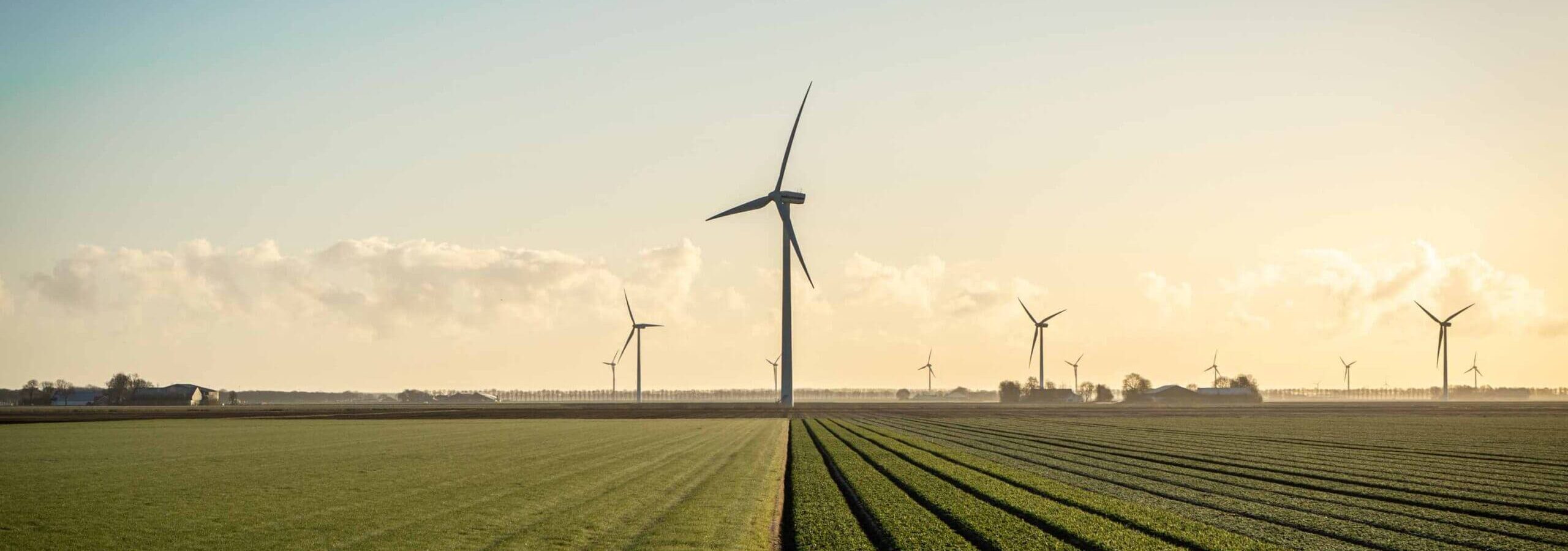 Drei Windräder, die sich in der Ferne eines grünen Feldes mit blauem sonnigen Himmel im Wind drehen