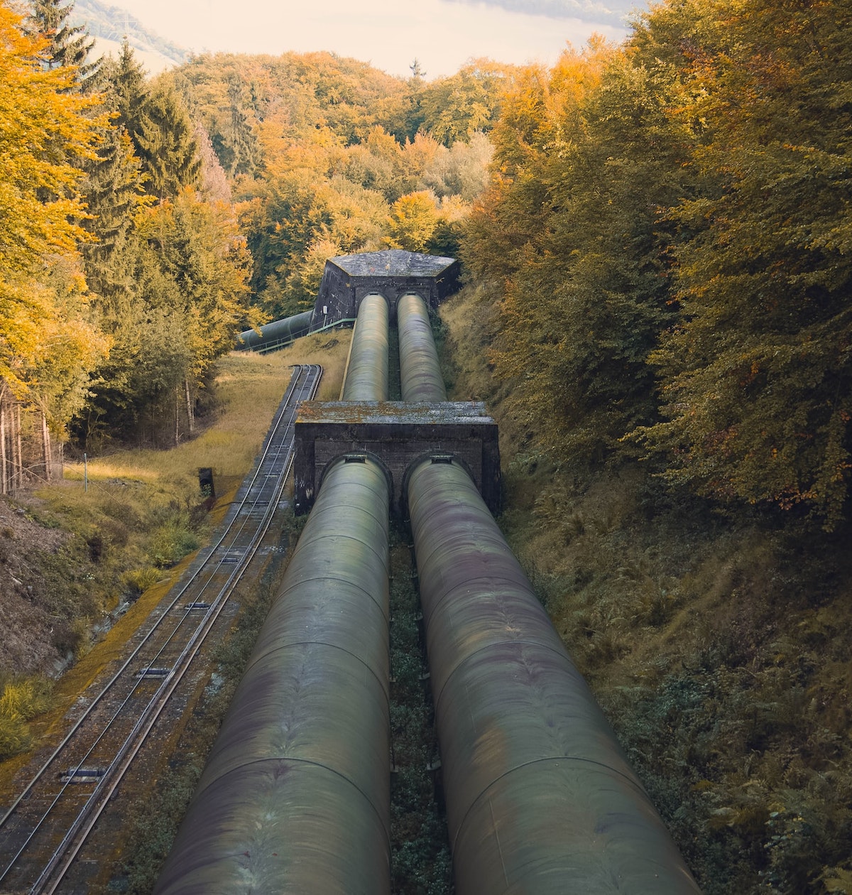 Gasleitungen, die durch einen Wald führen