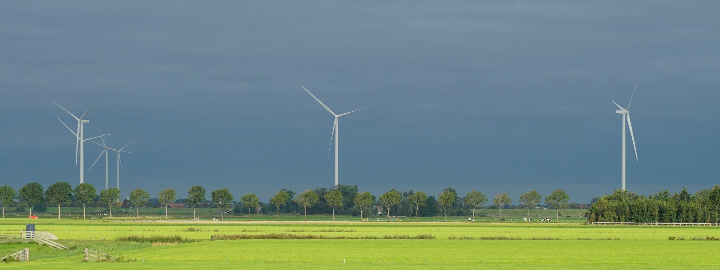 Eine Kuh auf einer großen Wiese. Im Hintergrund dreht sich ein Windrad.